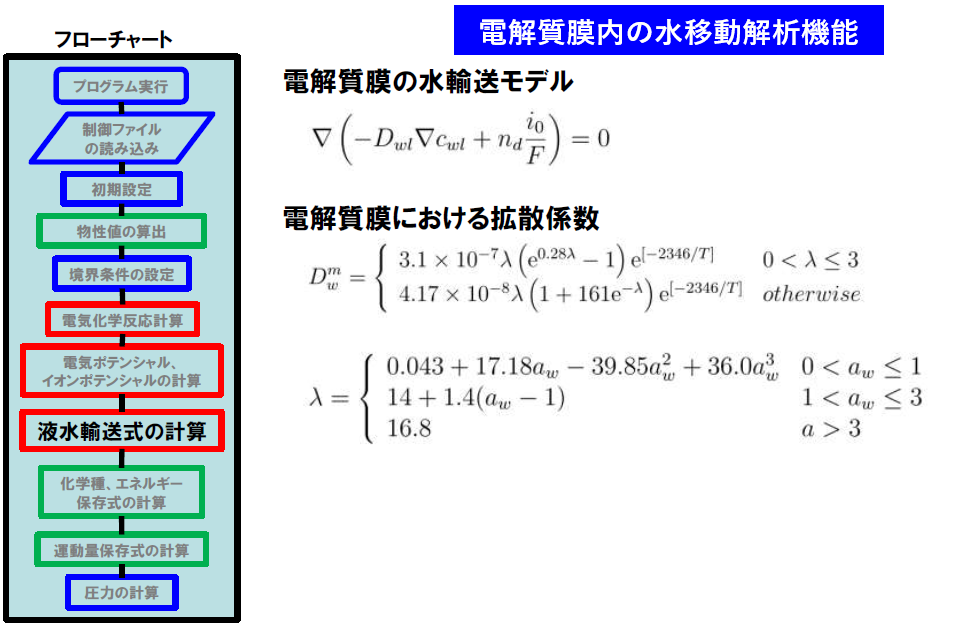 図13：電解質膜の水輸送モデル