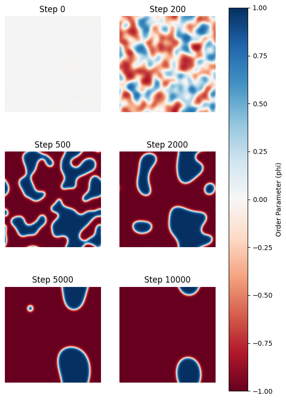 Microstructure Evolution of CuAu