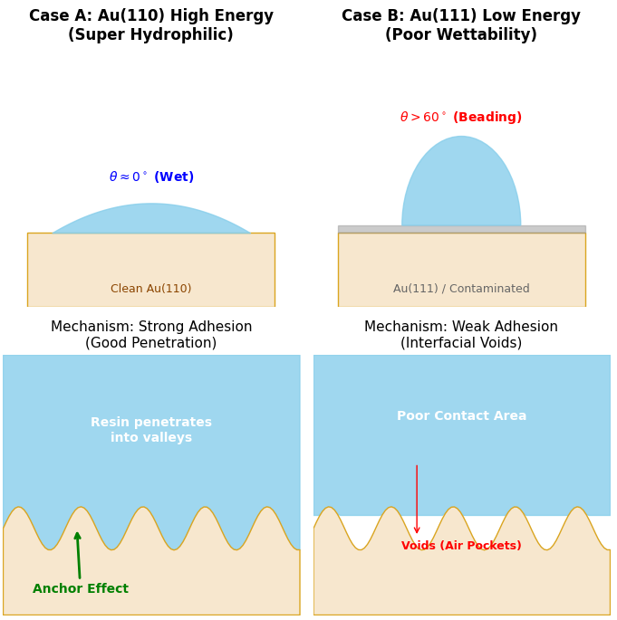 Schematic Diagram of Adhesion Mechanism